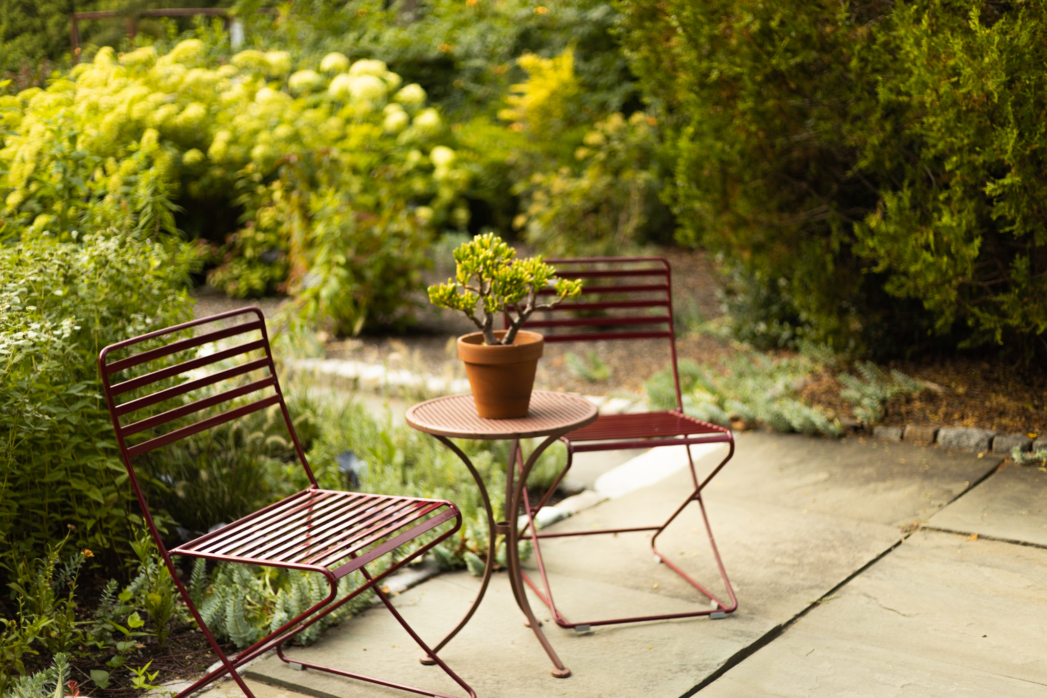 A vibrant photo of two metal chairs and a small metal table amidst gardens.